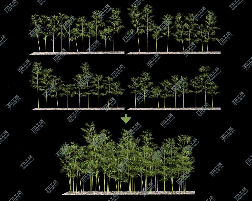 images/goods_img/20210313/Bamboo Trees 4 (GrowFX)/3.jpg